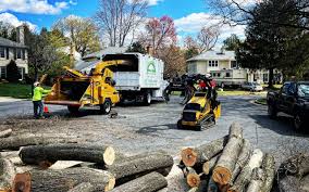 Best Utility Line Clearance  in West Dennis, MA
